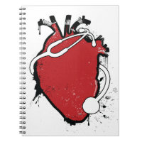anatomical heart stethoscope