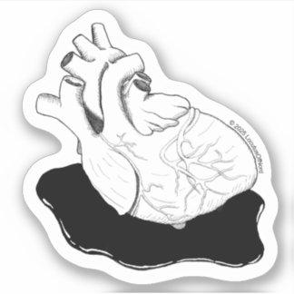 Anatomical Heart Sticker