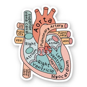 Anatomical Heart Sticker, Cardiac ICU Nurse Gift Sticker