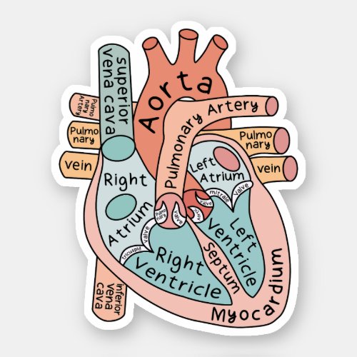 Anatomical Heart Sticker Cardiac ICU Nurse Gift Sticker