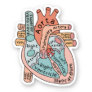 Anatomical Heart Sticker, Cardiac ICU Nurse Gift Sticker