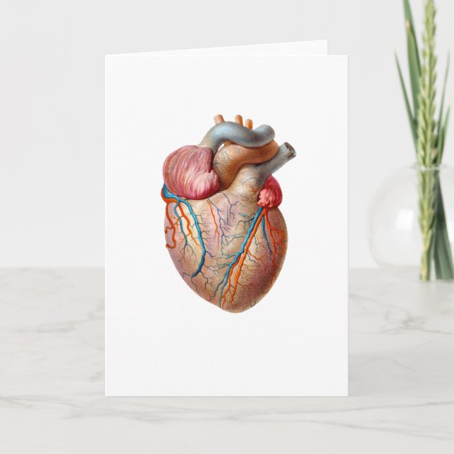 Anatomical Heart Valentines Day Card (Front)