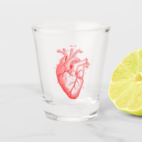 Anatomical Heart Vintage Diagram 15 oz Shot Glass