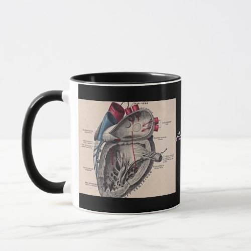 Anatomical Heart vintage diagram personalized Mug