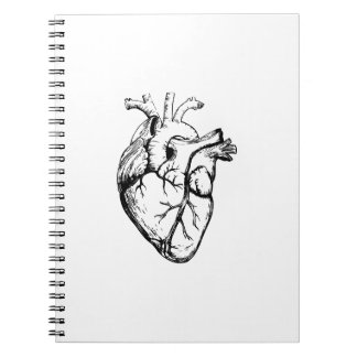 Anatomical Heart Vintage Line Art Notebook