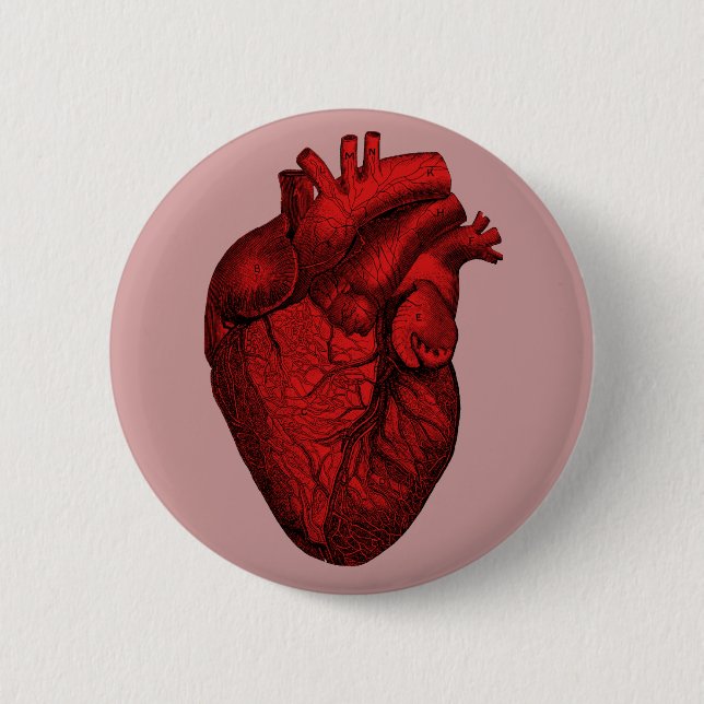 Anatomical Human Heart Button (Front)
