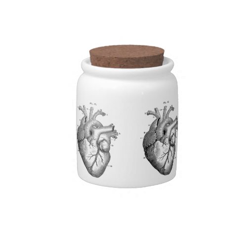 Anatomical Human Heart  Cork Lid Porcelain Jar