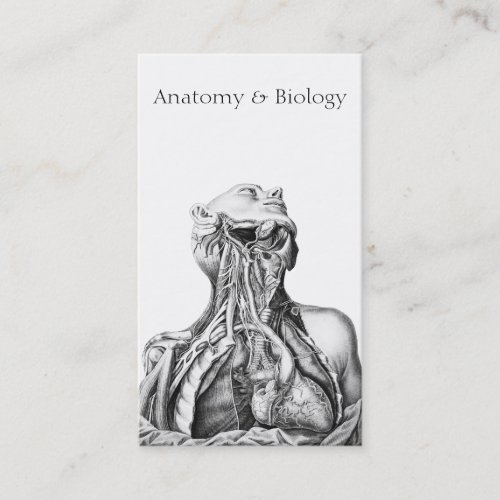 Anatomical Illustration Medical Sciences Business Card