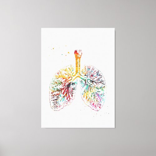 Anatomical Lungs Canvas Print