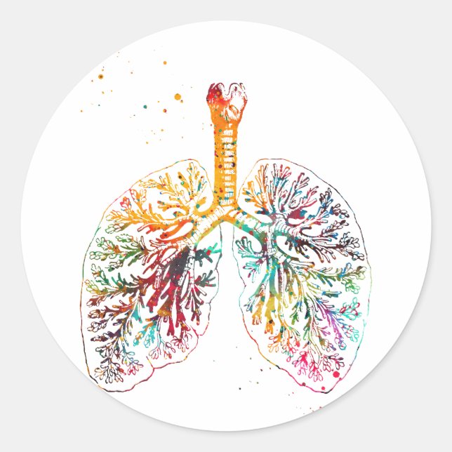 Anatomical Lungs Classic Round Sticker (Front)