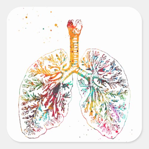 Anatomical Lungs Square Sticker