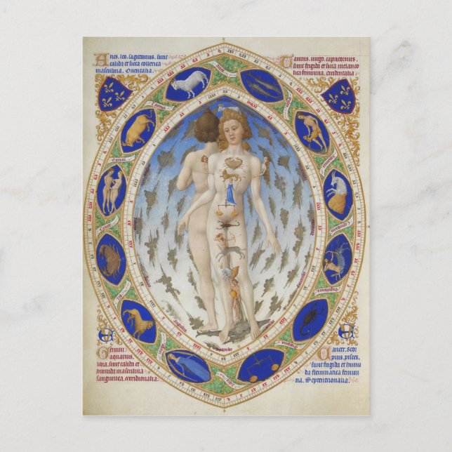 Anatomical Man in Duke Berry's Très Riches Heures Postcard (Front)
