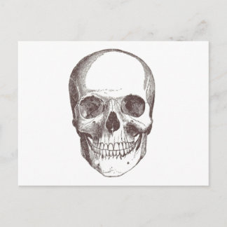 Anatomical Skull, Black/White Postcard