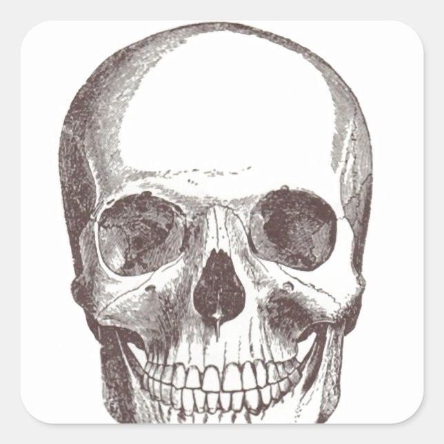 Anatomical Skull, Black/White Square Sticker (Front)