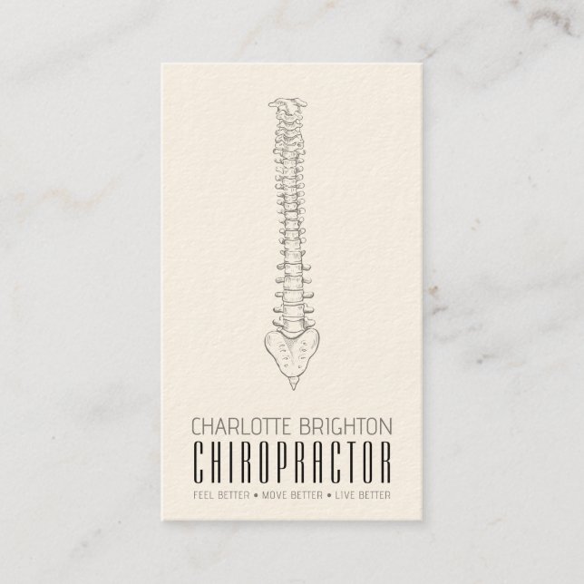 Anatomical Spine Chiropractor Appointment And Business Card (Front)
