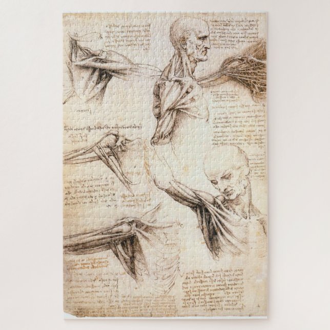 Anatomical Studies of the Shoulder–Leonardo da E1 Jigsaw Puzzle (Vertical)