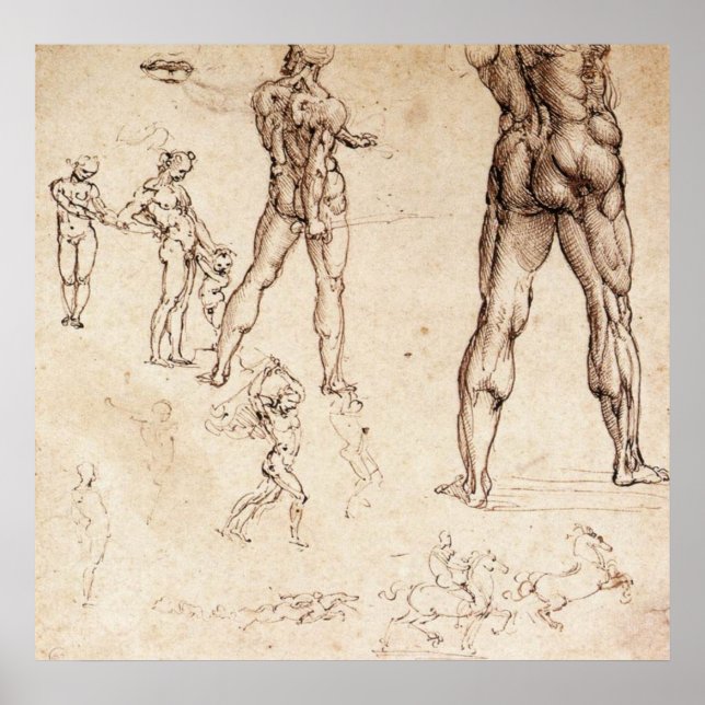 Anatomical  Studies Poster (Front)