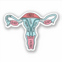 Anatomical Uterus, Obstetrician, Gynecologist Sticker