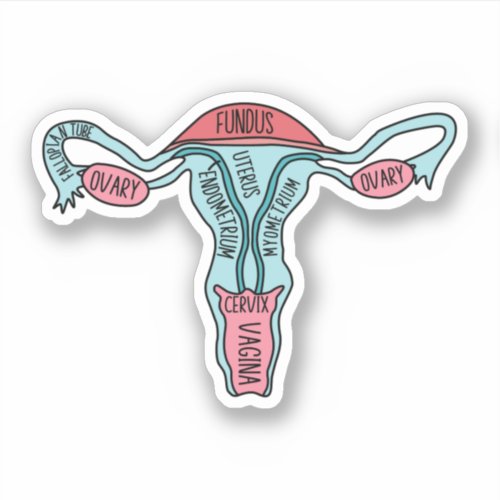 Anatomical Uterus Obstetrician Gynecologist Sticker