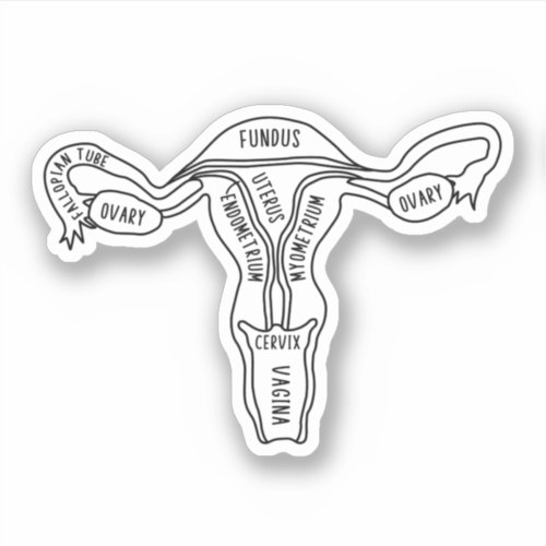 Anatomical Uterus Obstetrician Gynecologist Sticker