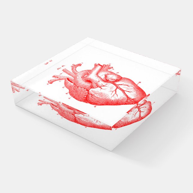 Anatomical Vintage Human Heart Glass Paperweight (Angled)
