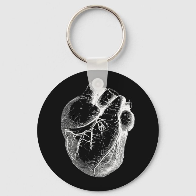 Anatomically Correct Heart Keychain (Front)