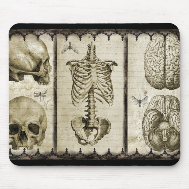 Anatomize Mouse Pad (Front)