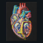 anatomy abstract art colorful human heart faux canvas print<br><div class="desc">anatomy abstract art colorful human heart medical science biology Faux Canvas Print</div>