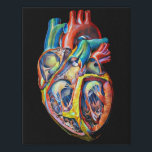 anatomy abstract art colorful human heart faux canvas print<br><div class="desc">anatomy abstract art colorful human heart medical science biology Faux Canvas Print</div>
