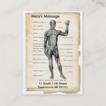 Anatomy Anterior And Posterior Business Card by WellnessJunkie at Zazzle