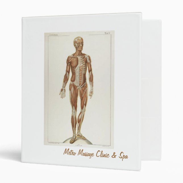 Anatomy Anterior Binder (Front/Inside)