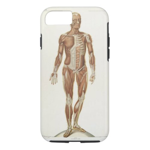 Anatomy Anterior iPhone 87 Case