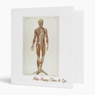 Anatomy Anterior & Posterior Muscles Binder