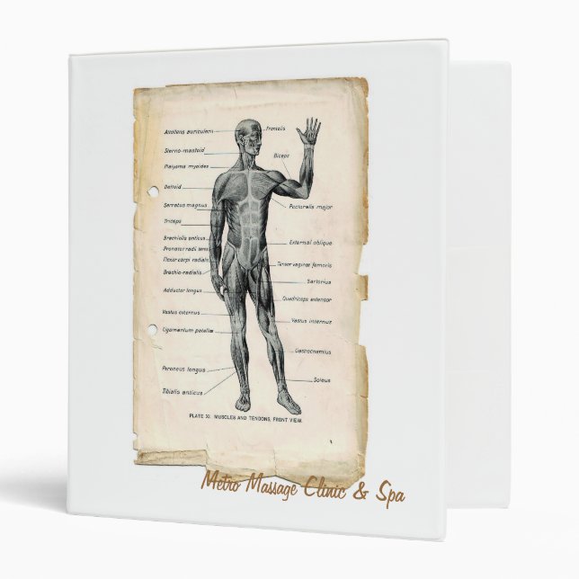 Anatomy Anterior & Posterior Muscles Binder (Front/Inside)