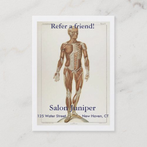Anatomy Anterior Business Card Template