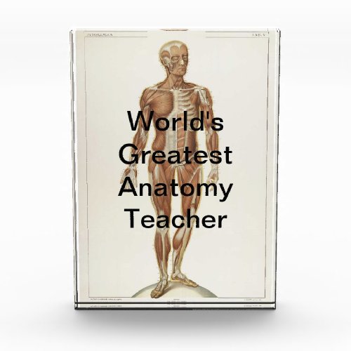 Anatomy Anterior Vintage Drawing Award