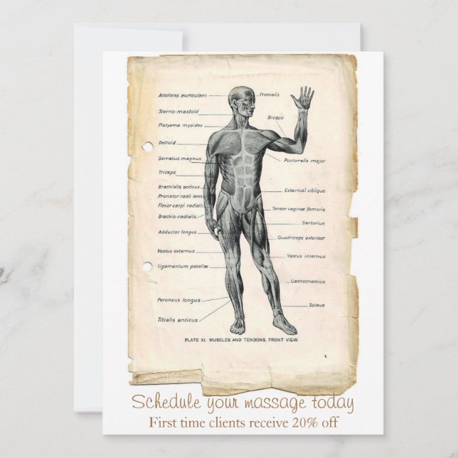 Anatomy Anterior Vintage Drawing Invitation (Front)