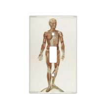 Human Body Wall Plates Amp Light Switch Covers Zazzle