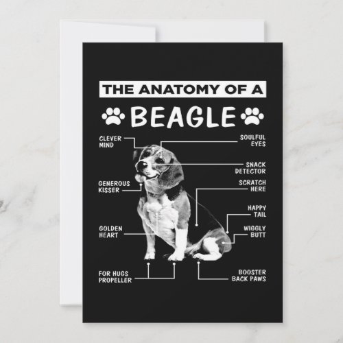 Anatomy Beagle Dog Announcement