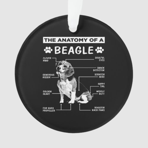 Anatomy Beagle Dog Ornament