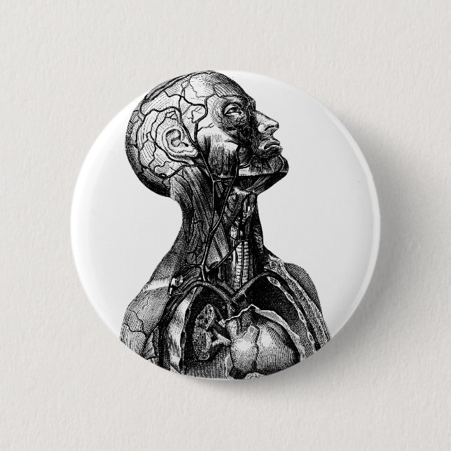 Anatomy Bust Button (Front)