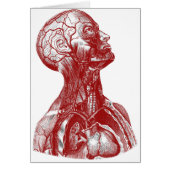 Anatomy Bust Red (Front)