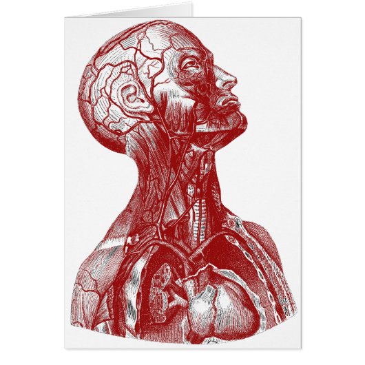 Anatomy Bust Red Cards (Front)