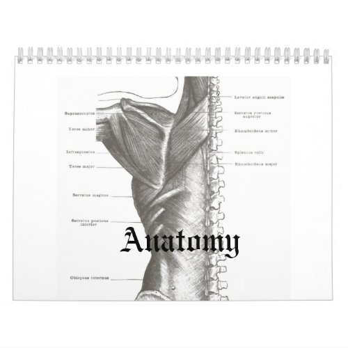 Anatomy Calender Calendar