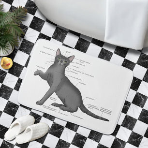 Anatomy Cat Funny Bath Mat