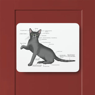 Anatomy Cat Funny Door Sign