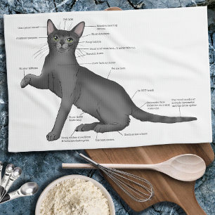 Anatomy Cat Funny Kitchen Towel