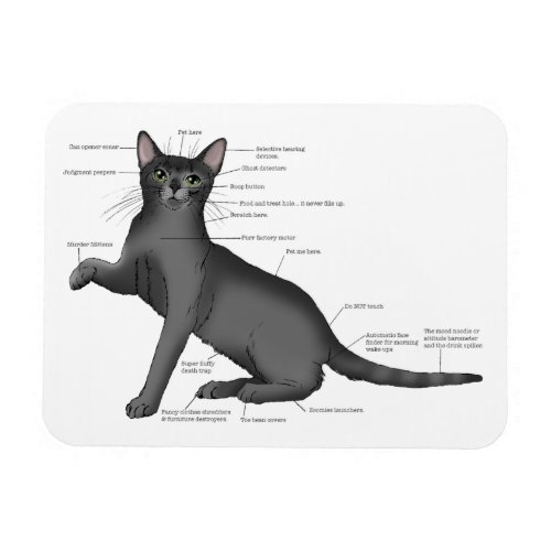 Anatomy Cat Funny Magnet