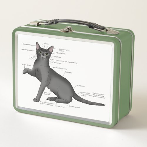 Anatomy Cat Funny Metal Lunch Box