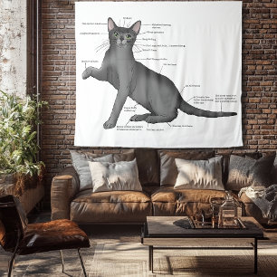 Anatomy Cat Funny Tapestry